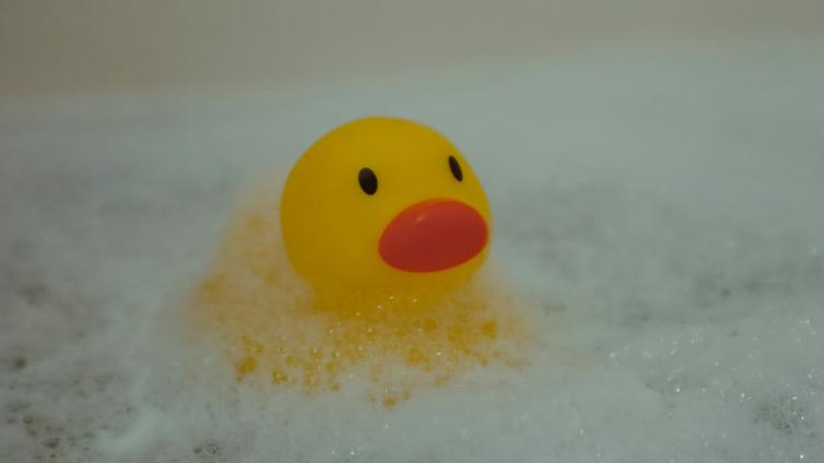 Rubber duck in bath